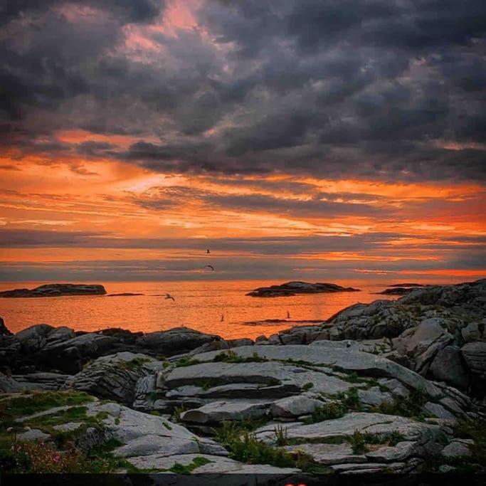 Close To Sea, Central, Rent A Boat, Mountain Hike, Wifi, Free Parking Haug 외부 사진